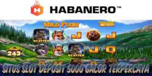 Situs Judi Slot Deposit 5000 Gacor Terpercaya Menang Maxwin Wild Flow