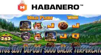 Situs Slot Deposit 5000 Gacor Terpercaya Wild Flow